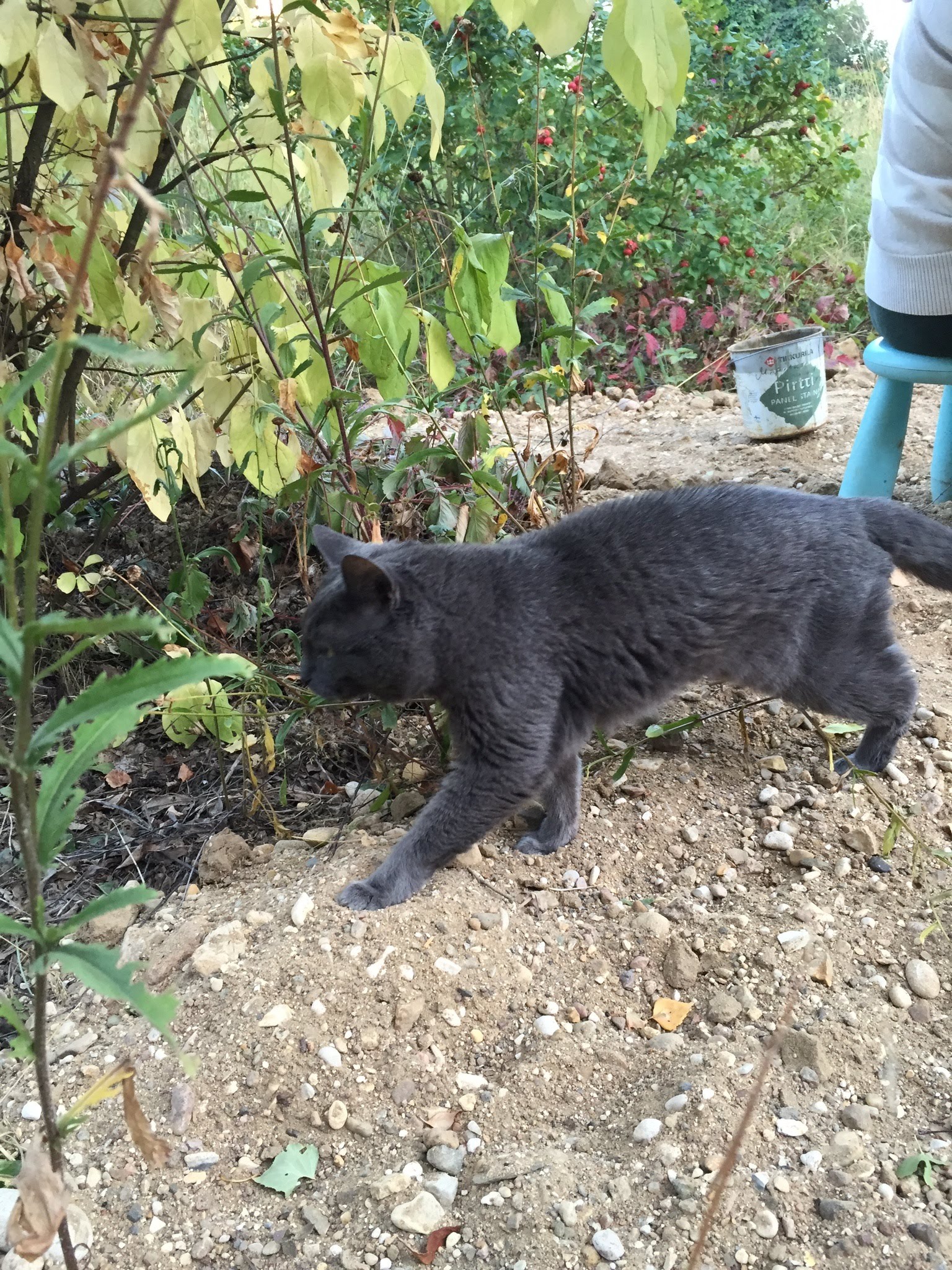 Murka in her favorite spot